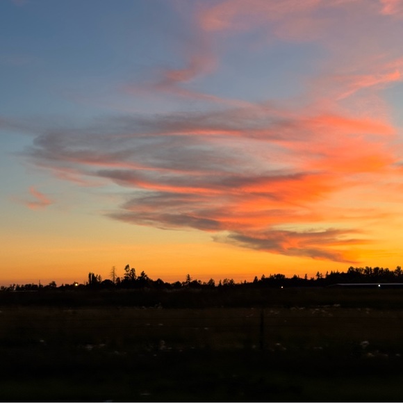 Meet your Posher, Ariel - Picture 2 of 2